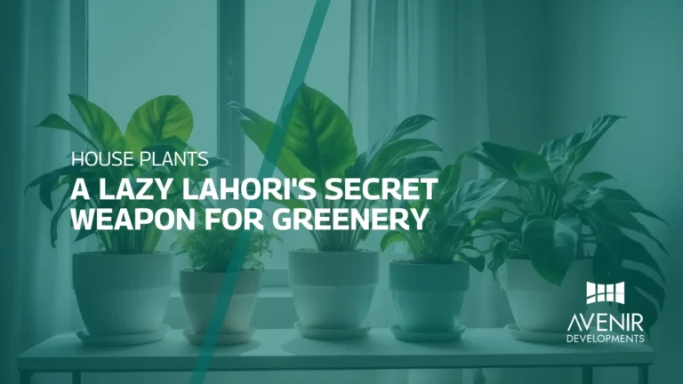 House Plants in Lahore