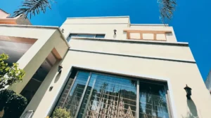 Avenir Developments Project Consultancy Services