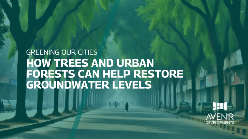 Greening Our Cities How Trees and Urban Forests Can Help Restore Groundwater Levels