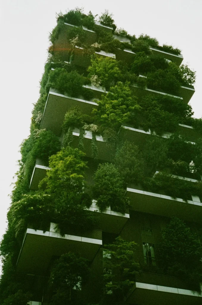 Sustainable Architecture